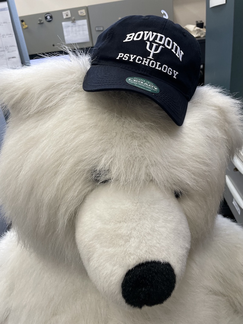Bowdoin Polar Bear Mascot穿着心理学帽子