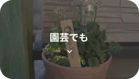 園芸でも