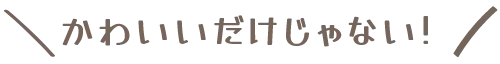 かわいいだけじゃない！