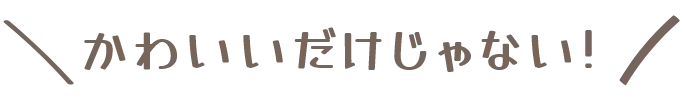 かわいいだけじゃない！