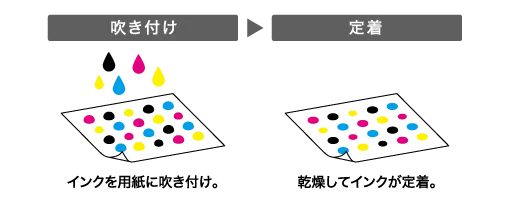 吹き付け→定着