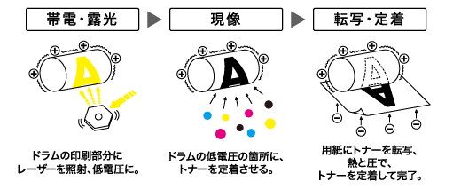 帯電・露光→現像→転写・定着
